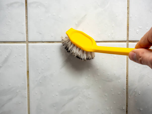 Best Certified Mold Removal  in Pontotoc, MS