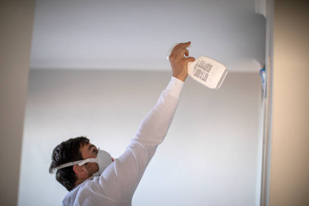 Best Black Mold Removal  in Pontotoc, MS