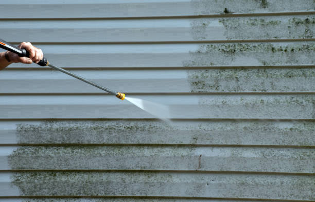 Best Local Mold Removal Service  in Pontotoc, MS