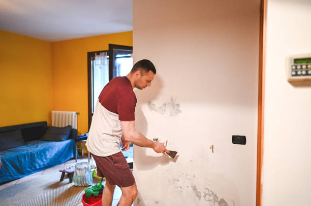 Best Mold Remediation  in Pontotoc, MS